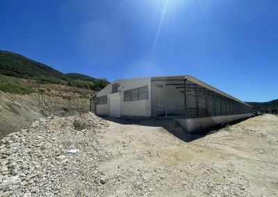 Πτηνοτροφείο αβγοπαραγωγής Καλπακι